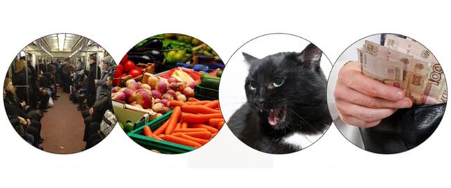 Parasiteninfektionsmethoden