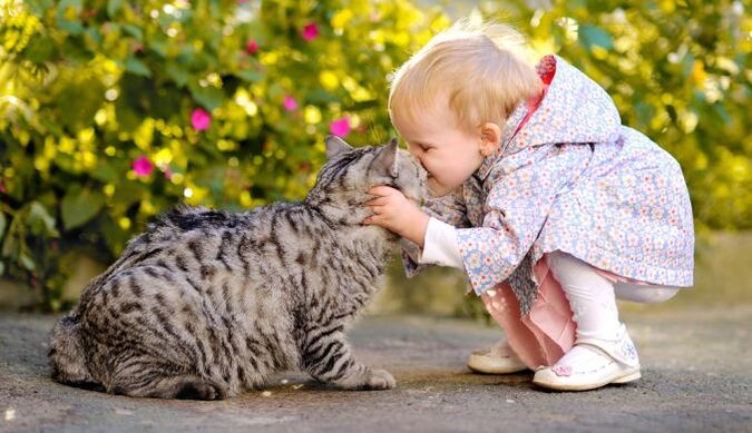 Ein Junge küsst eine Katze und infiziert sich mit Würmern.