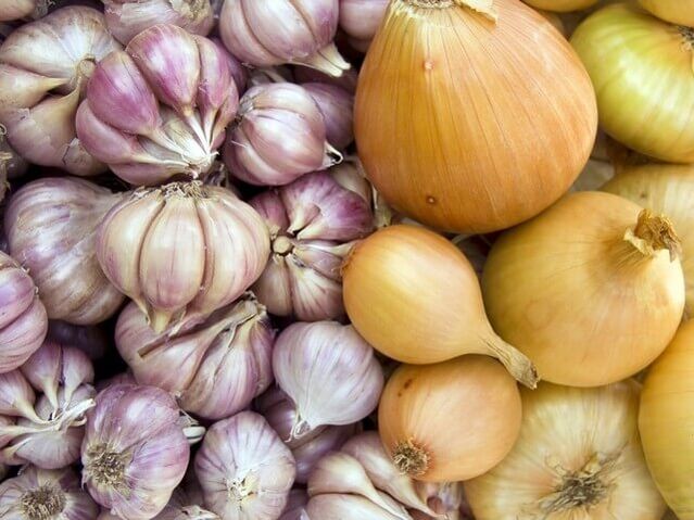 Frische Zwiebel mit Knoblauch gegen Würmer